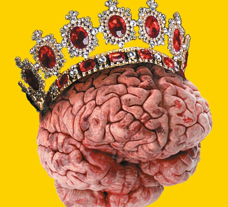 an image of a brain wearing a jewelled crown on top in front of a bright yellow wall. Psychological health